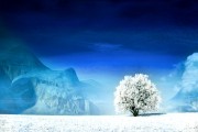 世界保龄球高校联赛秋冬训练营技战术回放发布，世界保龄球比赛冠军